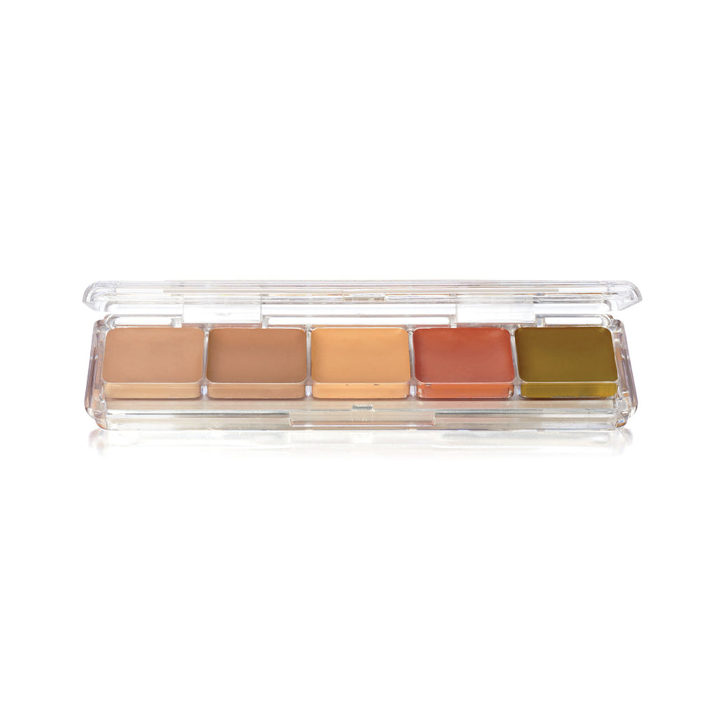 Ben Nye Alcohol Activated Concealer & Adjuster Palette