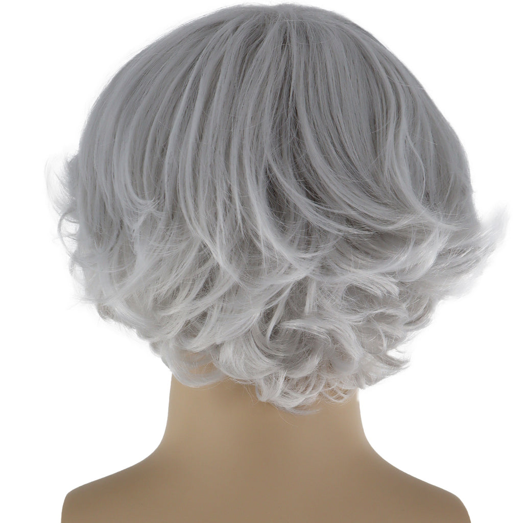 Epic Cosplay Aion Wig Silvery Grey Back View Man