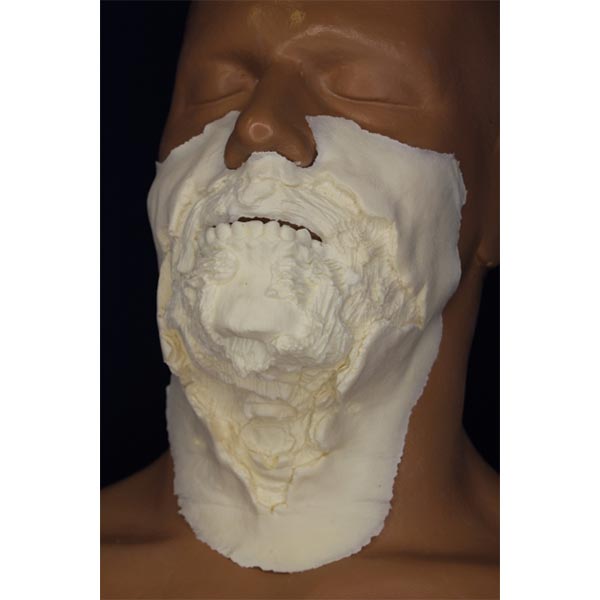 Rubber Wear Zombie Mouth Prosthetic Appliance Style-Size: Large w Teeth (2 Pieces)